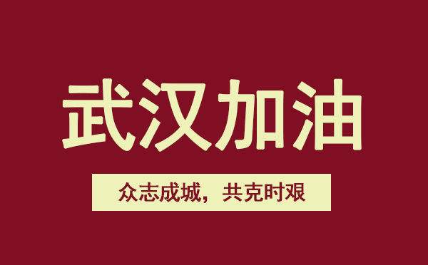 眾志成城抗擊疫情心得感想5篇